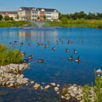 Thumbnail of dining area