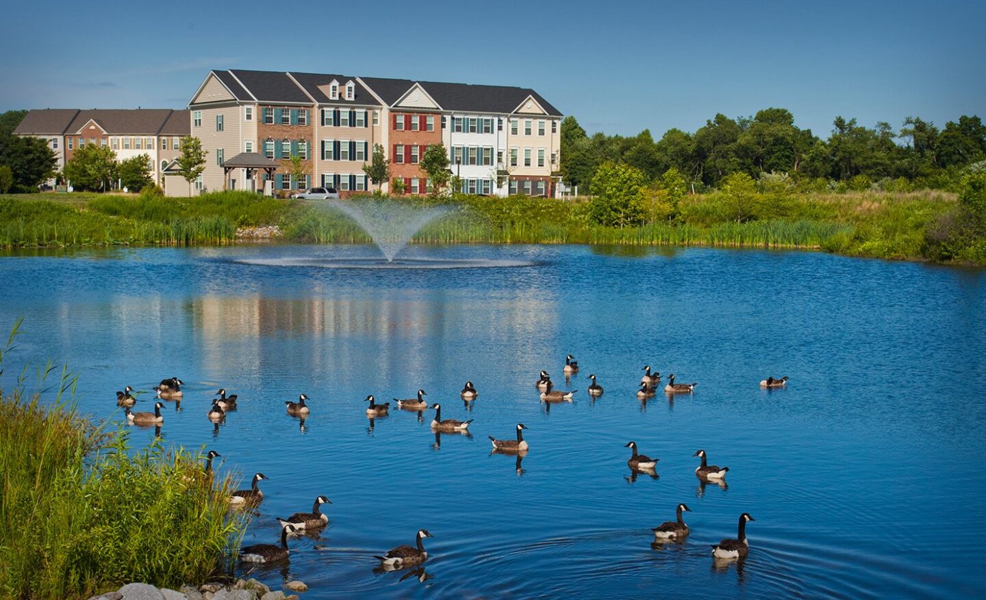 Duck pond at Meridian Crossing