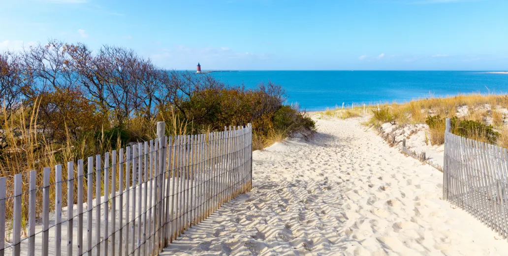 Scenic beach shot from the dunes.