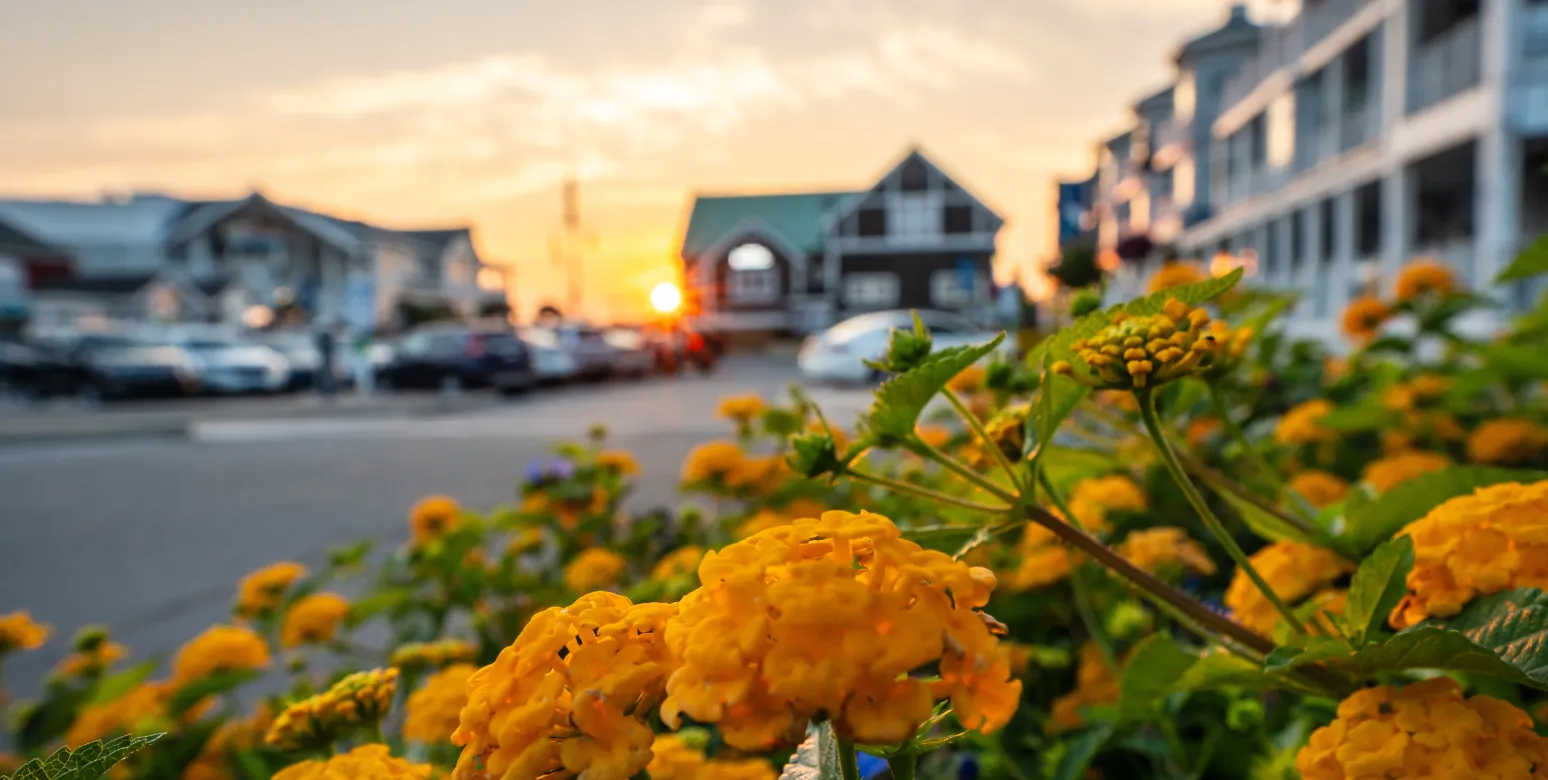 Rehoboth at sunset.