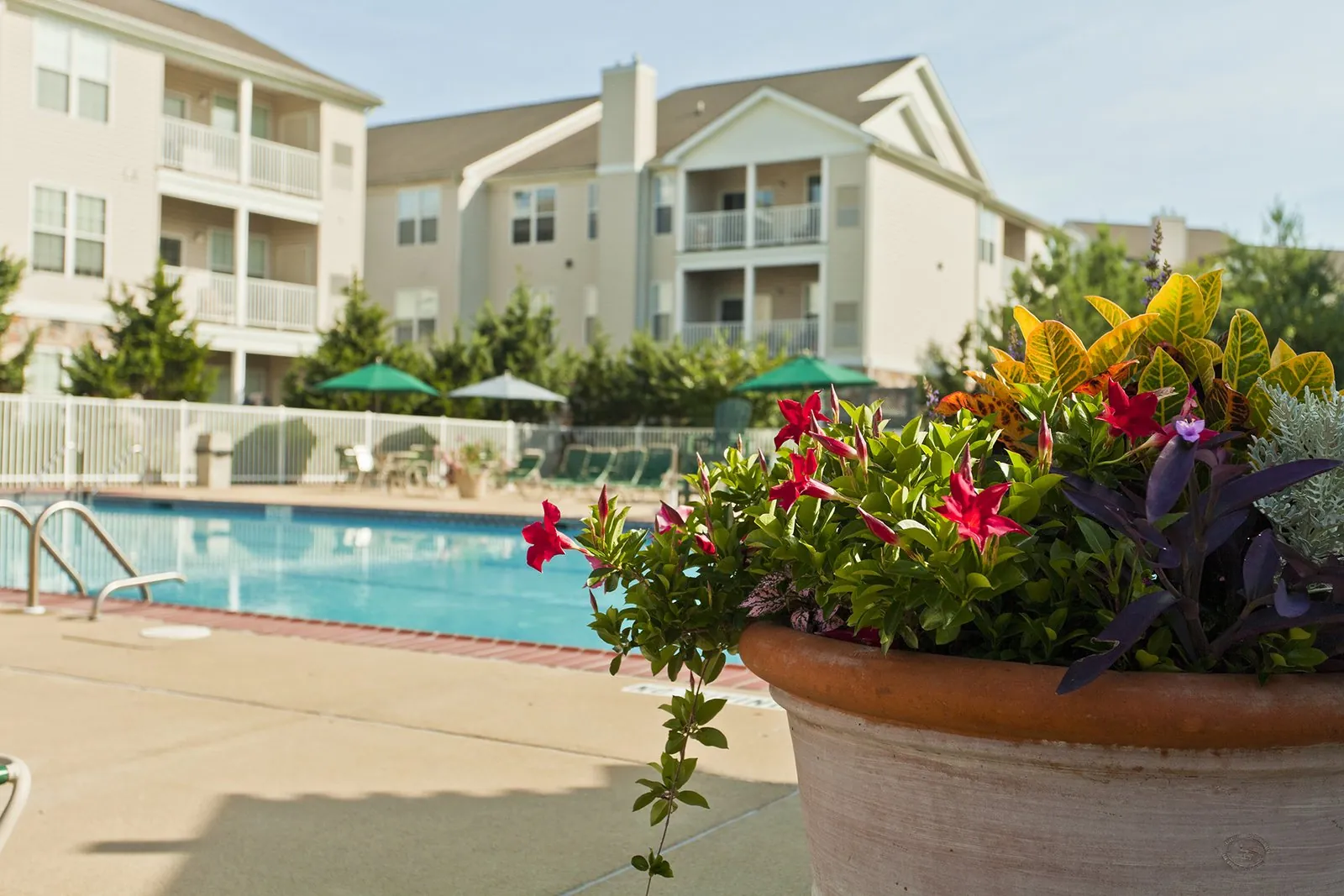 image4@3x St. Andrews Community Pool