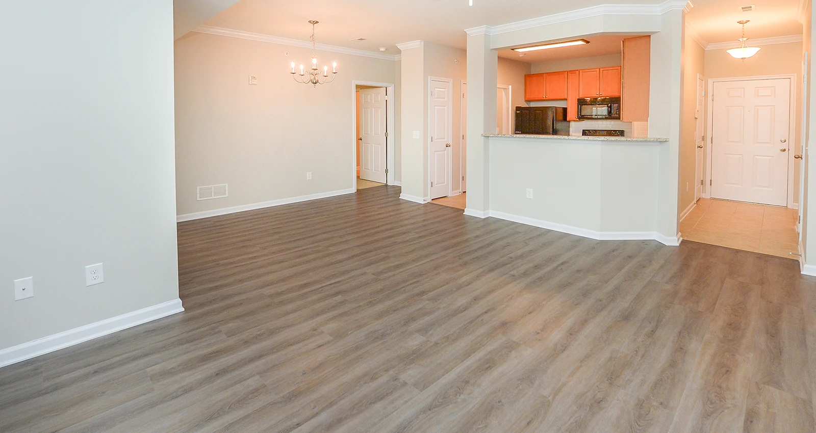 Living Room / Kitchen