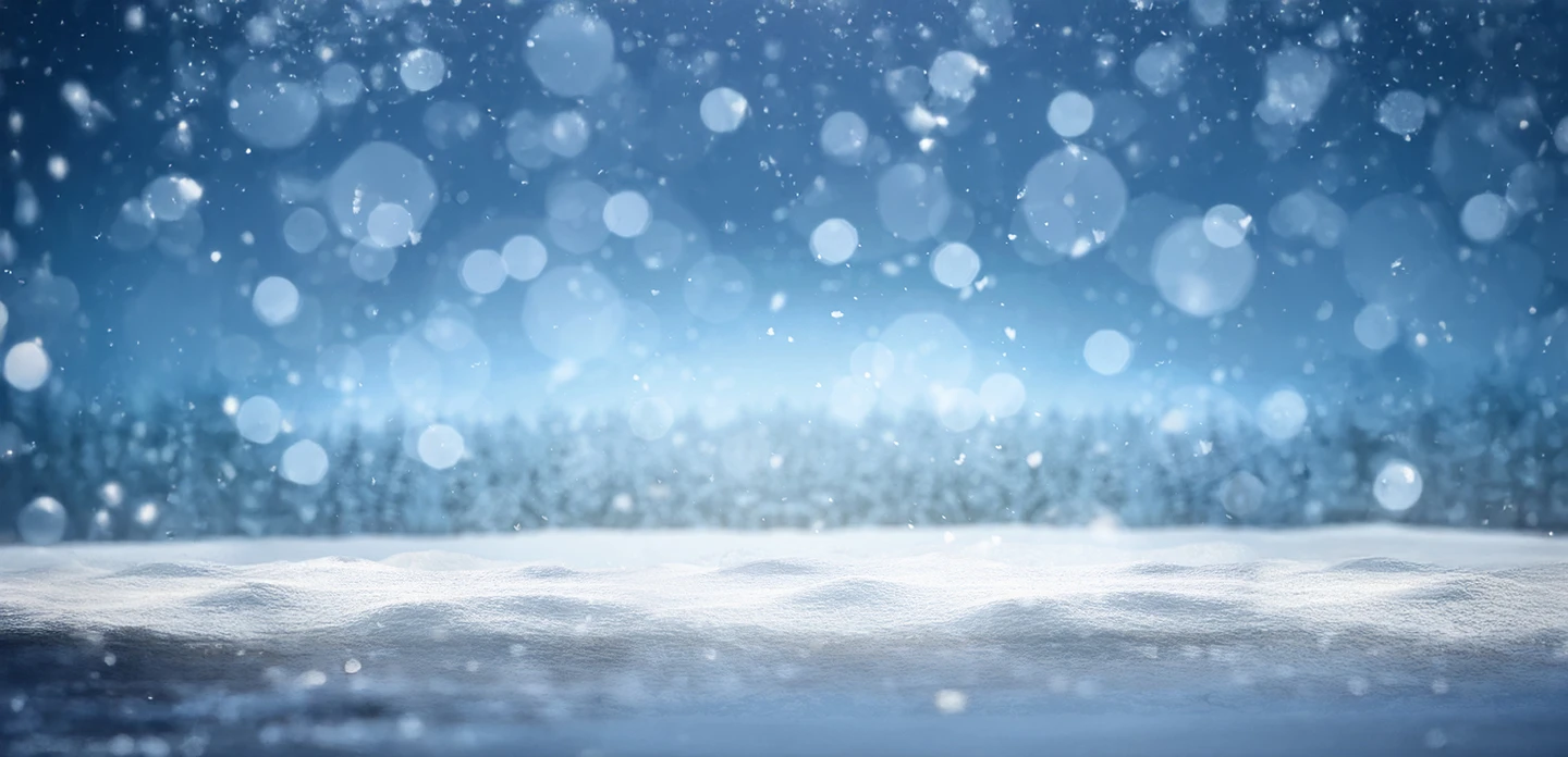 Wintery scene with snowfall